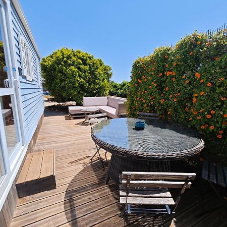 Casa Azul-Tiny House With Fantastic View, Big Outdoor Space And Pool Silves Dış mekan fotoğraf