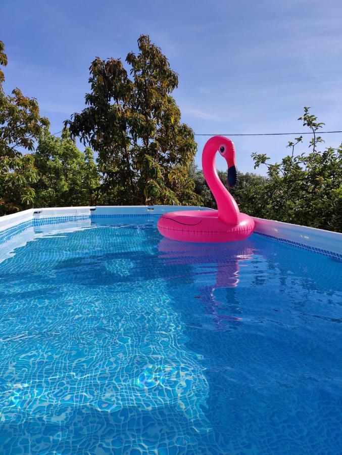 Casa Azul-Tiny House With Fantastic View, Big Outdoor Space And Pool Silves Dış mekan fotoğraf